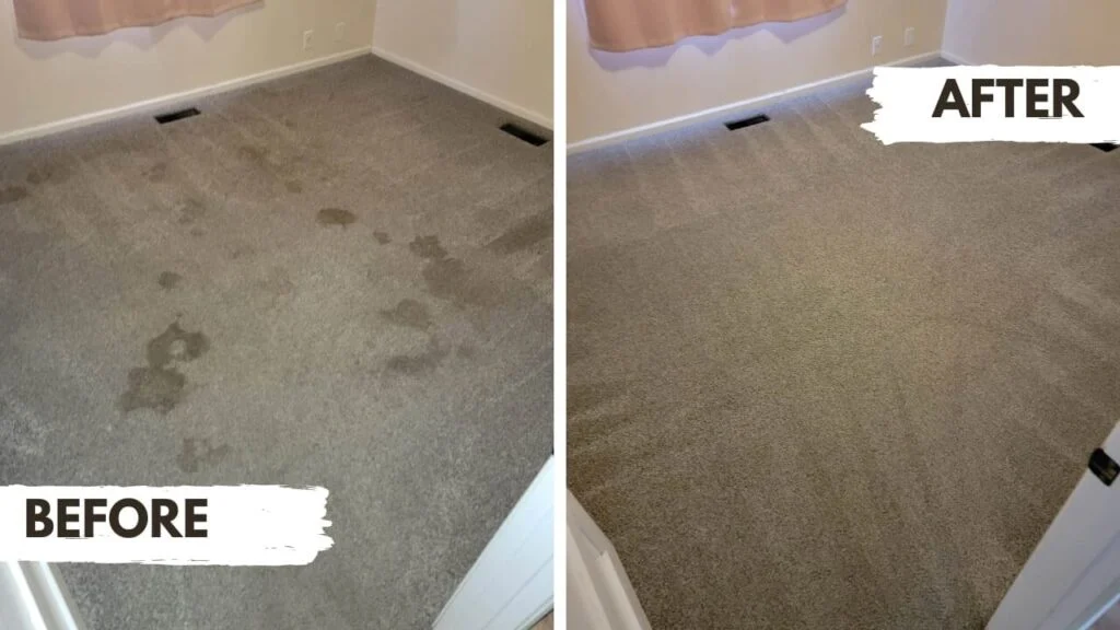 Bedroom carpet cleaned after hot water extraction