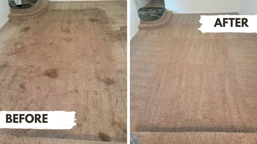 Living room carpet cleaned after hot water extraction
